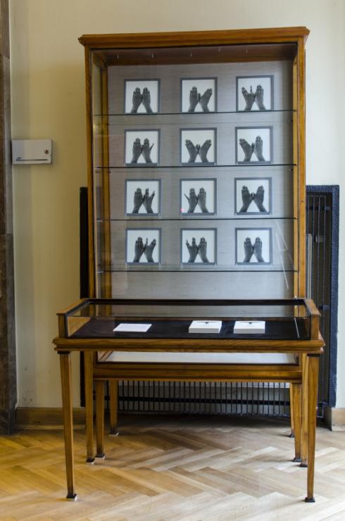 &quot;[A]symetrie. Sztuka współczesna w kontekście muzeum&quot;, Muzeum Lubelskie,Lublin